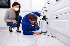 Real Estate Pest Inspections in Kentwood, LA